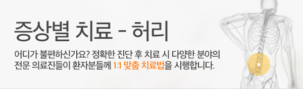 증상별 치료 - 허리